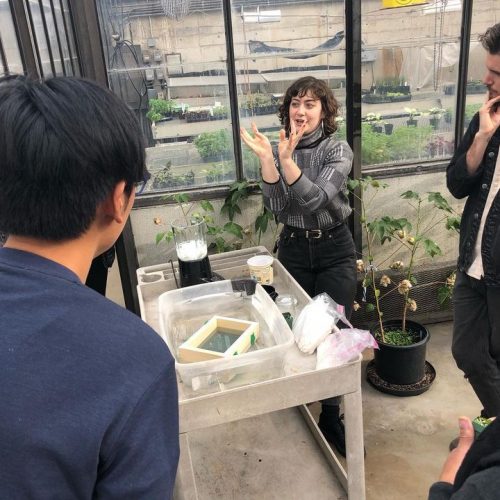 a woman teaching in a greenhouse