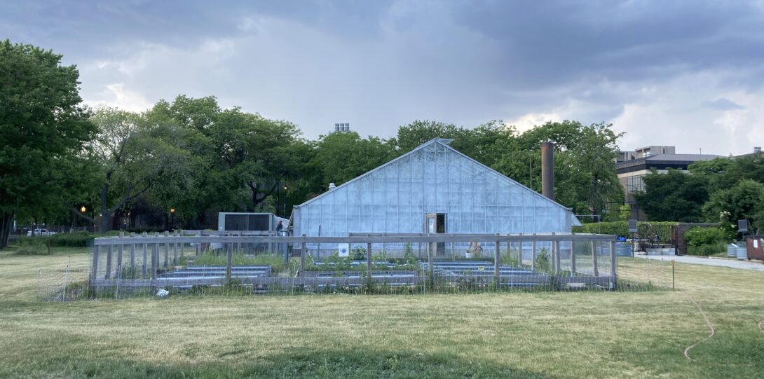 Greenhouse from East entrance