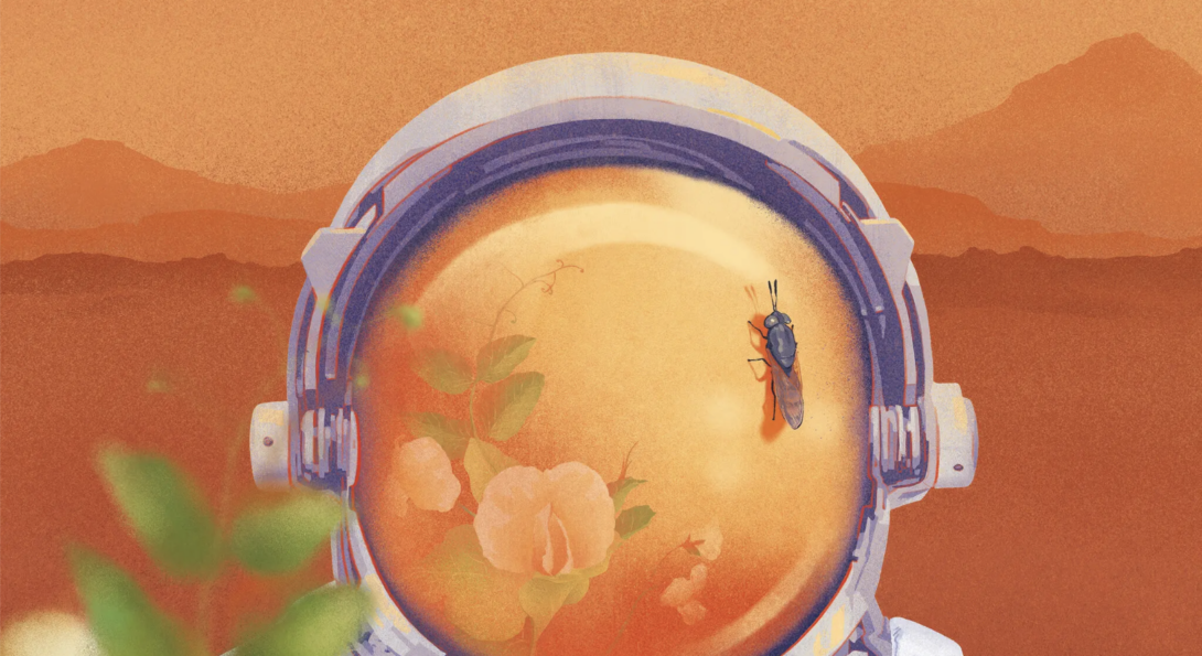 Soldier Fly on Mars